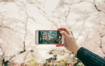 10 Tips Foto Aesthetic dengan Smartphone, Hasil Tak Kalah dari Fotografer Profesional