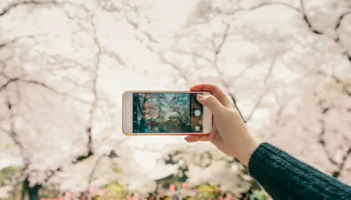 10 Tips Foto Aesthetic dengan Smartphone, Hasil Tak Kalah dari Fotografer Profesional