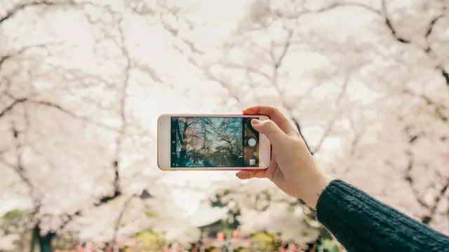10 Tips Foto Aesthetic dengan Smartphone, Hasil Tak Kalah dari Fotografer Profesional