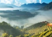 6 Fakta Menarik Gunung Doi Ang Khang di Perbatasan Thailand–Myanmar