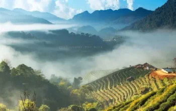 6 Fakta Menarik Gunung Doi Ang Khang di Perbatasan Thailand–Myanmar