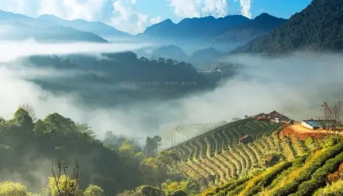 6 Fakta Menarik Gunung Doi Ang Khang di Perbatasan Thailand–Myanmar