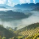 6 Fakta Menarik Gunung Doi Ang Khang di Perbatasan Thailand–Myanmar