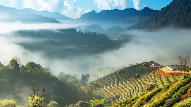 6 Fakta Menarik Gunung Doi Ang Khang di Perbatasan Thailand–Myanmar