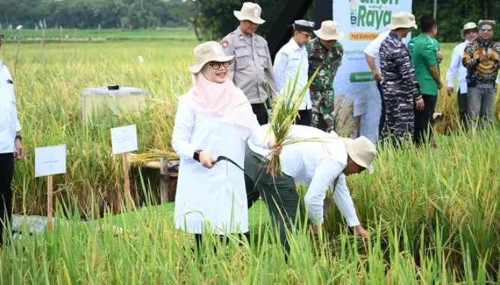 Banyuwangi Luncurkan Industri Beras Biofortifikasi Skala Industri Pertama di Indonesia