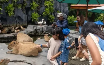 Libur Sekolah 2025, Bali Safari Siap Sambut Lonjakan Wisatawan dengan Pengalaman Aman dan Nyaman