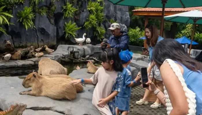 Libur Sekolah 2025, Bali Safari Siap Sambut Lonjakan Wisatawan dengan Pengalaman Aman dan Nyaman