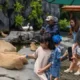 Libur Sekolah 2025, Bali Safari Siap Sambut Lonjakan Wisatawan dengan Pengalaman Aman dan Nyaman