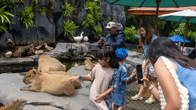 Libur Sekolah 2025, Bali Safari Siap Sambut Lonjakan Wisatawan dengan Pengalaman Aman dan Nyaman