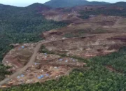 Politisi Golkar Nilai Pencabutan IUP di Raja Ampat Cerminkan Arah Politik Pemerintahan Prabowo