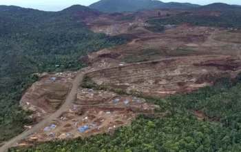 Politisi Golkar Nilai Pencabutan IUP di Raja Ampat Cerminkan Arah Politik Pemerintahan Prabowo