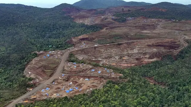Politisi Golkar Nilai Pencabutan IUP di Raja Ampat Cerminkan Arah Politik Pemerintahan Prabowo