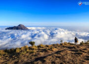 2 Jalur Pendakian Gunung Merbabu Ditutup Sementara Agustus 2025, Ini Rinciannya
