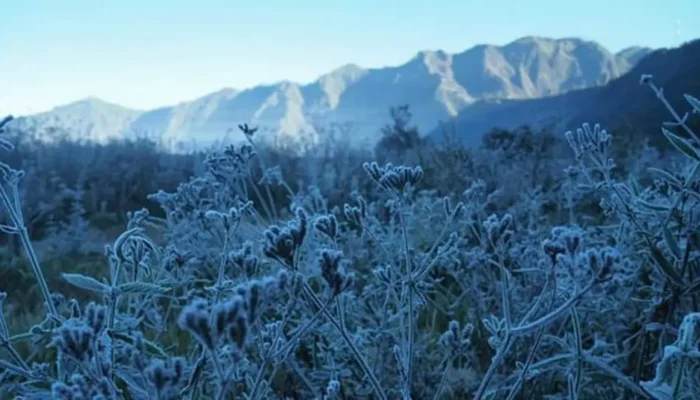 Fenomena Embun Es Selimuti Gunung Bromo, Wisatawan Diimbau Gunakan Pakaian Tebal