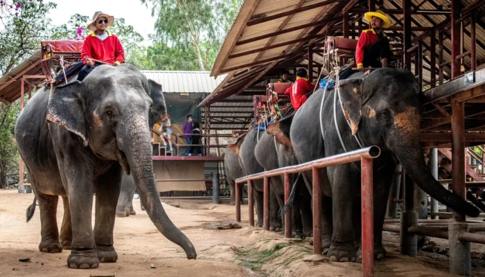 Thailand dan Kamboja Capai Gencatan Senjata, Pemerintah Pastikan Destinasi Wisata Tetap Aman Dikunjungi