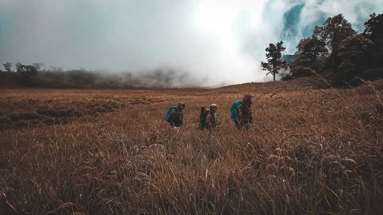 Bukit Propok di Taman Nasional Gunung Rinjani, Nusa Tenggara Barat.