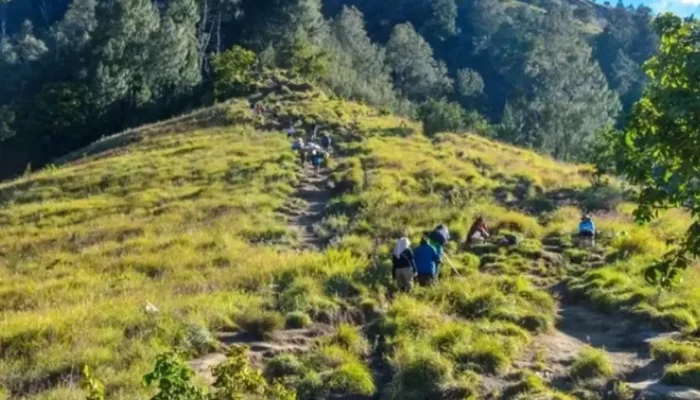1.170 Pendaki Padati Gunung Rinjani di Hari Perdana Pembukaan, Turis Asing Jadi Mayoritas