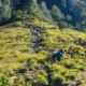 1.170 Pendaki Padati Gunung Rinjani di Hari Perdana Pembukaan, Turis Asing Jadi Mayoritas