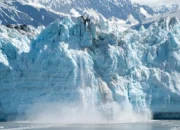 21 Agustus 1986: Gletser Hubbard di Alaska Bergeser 30 Meter, Ancaman Ekologi Meningkat