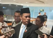Mentan Ungkap Kandungan Beras Patah di Beras Premium Tembus 59%