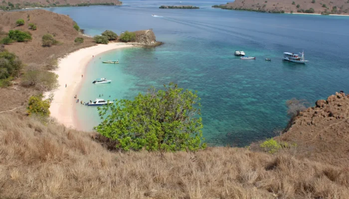 Pink Beach di Taman Nasional Komodo Terpilih sebagai Pantai Terindah Dunia 2025