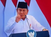 Sudaryono Ungkap Alasan Politik di Balik Amnesti untuk Hasto dan Abolisi Tom Lembong